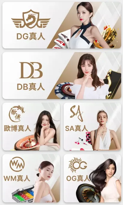 DG娛樂城真人視訊系統