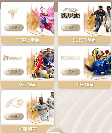 鐵支娛樂城體育系統